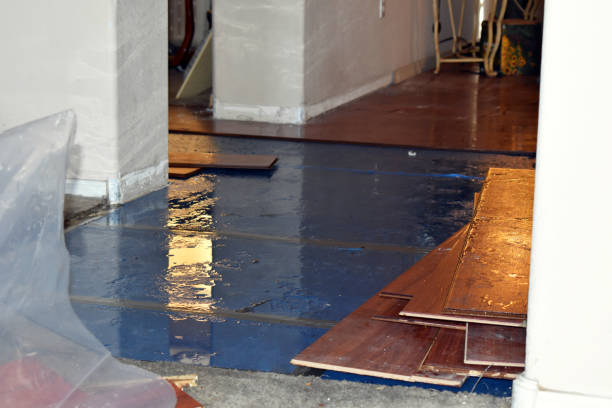 Professional Burst Pipe Cleanup technician working in Heath, TX